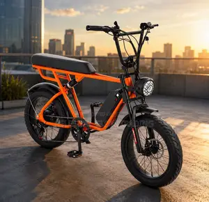 48V Electric Bike 1000W |65km/H Fast E-Bike | 8 Gears | Powerful Motor