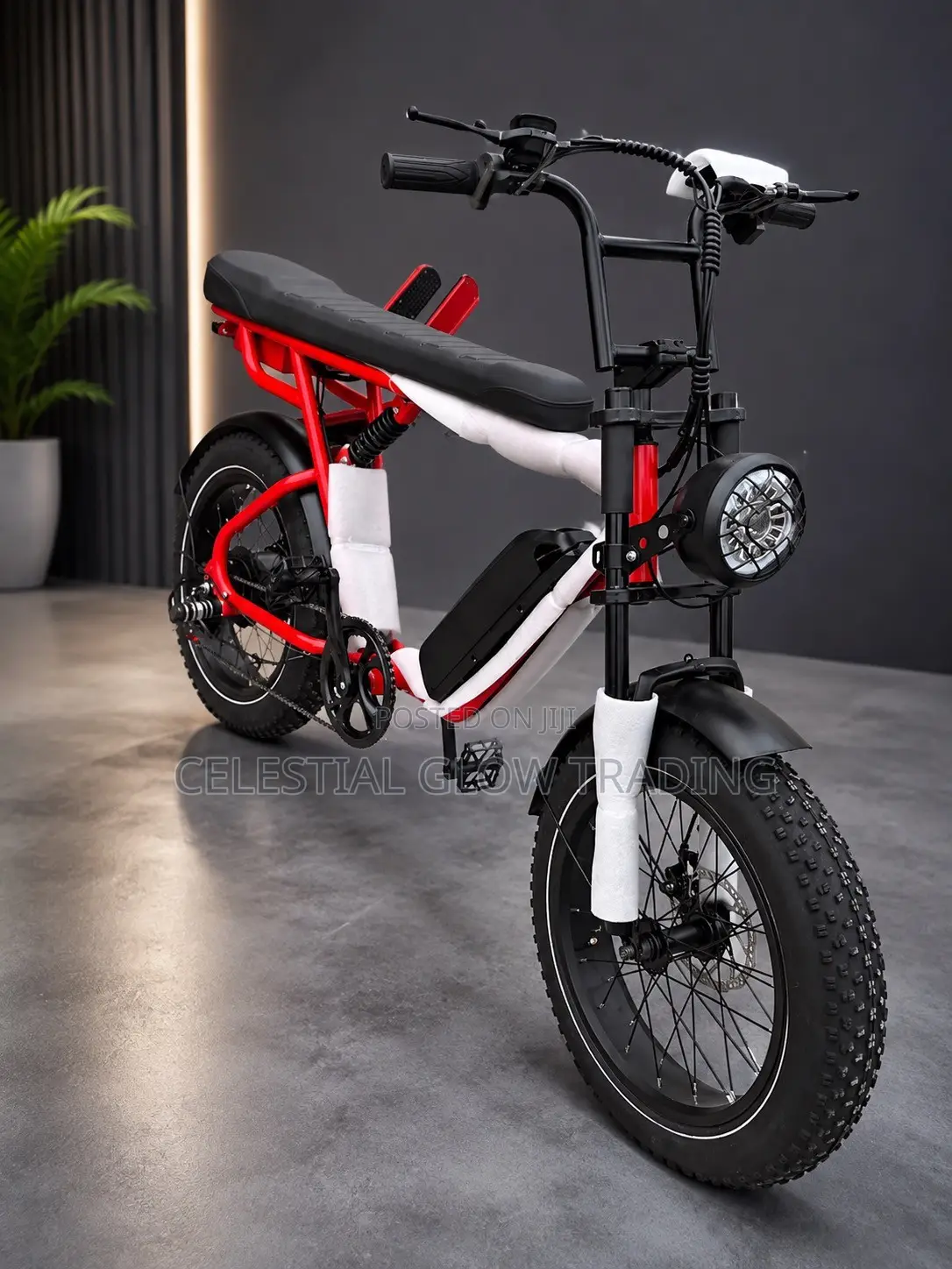 48V Electric Bike 1000W |65km/H Fast E-Bike | 8 Gears | Powerful Motor