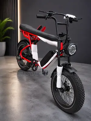 48V Electric Bike 1000W |65km/H Fast E-Bike | 8 Gears | Powerful Motor