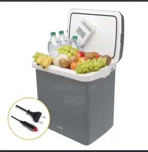 TZS First Austria 32L Portable Electric Cool Box (Grey Body - FA-5170)