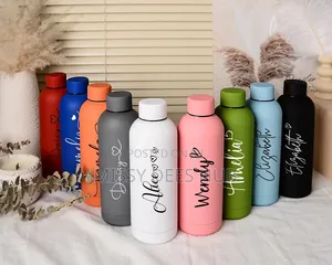 500ml Stainless Steel Insulated Bottle