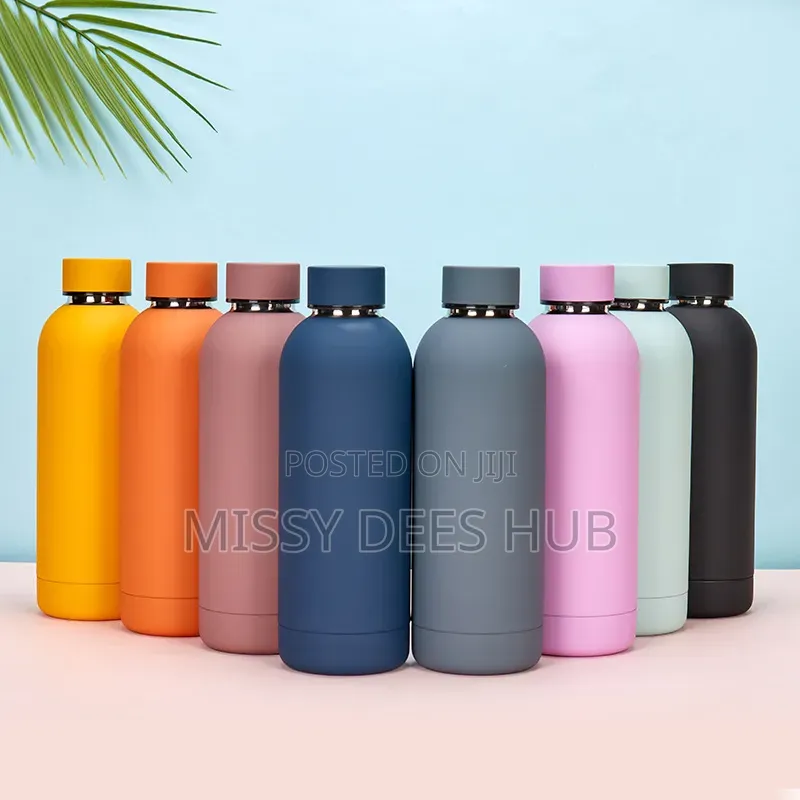 500ml Stainless Steel Insulated Bottle