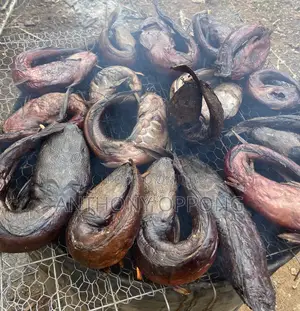 Smoked Catfish