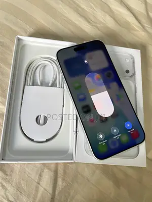 Apple iPhone 17 Pro Max 256 GB Silver