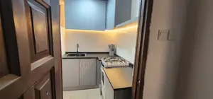 Furnished 1bdrm Apartment in Dzorwulu for rent