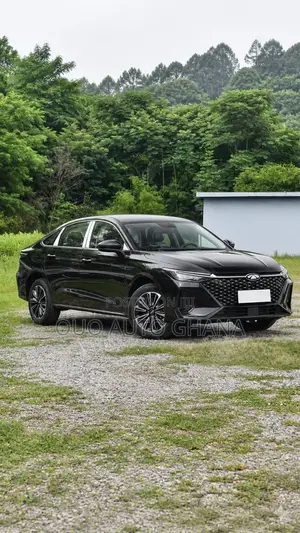 Chery Fulwin 2 2019 Black