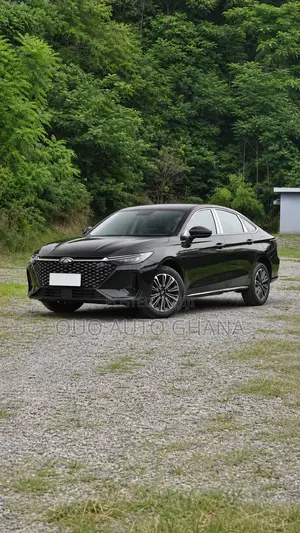 Chery Fulwin 2 2019 Black
