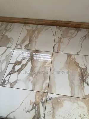 Sparkling Home Cleaning