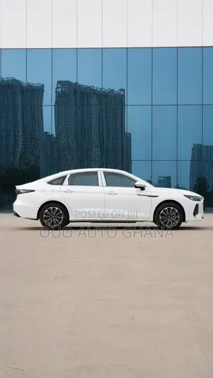 Chery Fulwin 2 2019 White