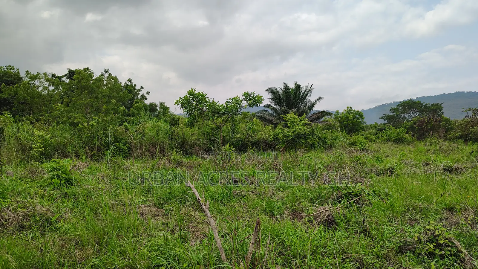 Volta Region, Peki (Adzokoe) _ 6 Acres Farmland With Stream