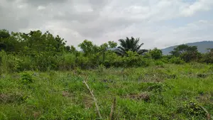Volta Region, Peki (Adzokoe) _ 6 Acres Farmland With Stream