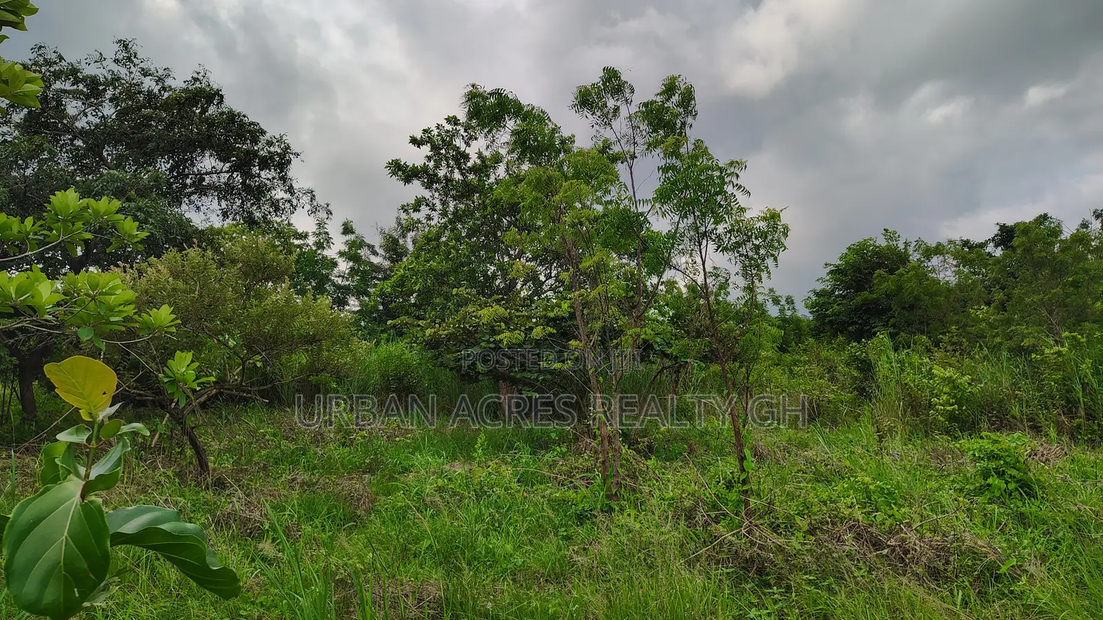 Volta Region, Peki (Adzokoe) _ 6 Acres Farmland With Stream