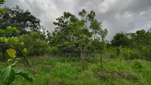 Volta Region, Peki (Adzokoe) _ 6 Acres Farmland With Stream