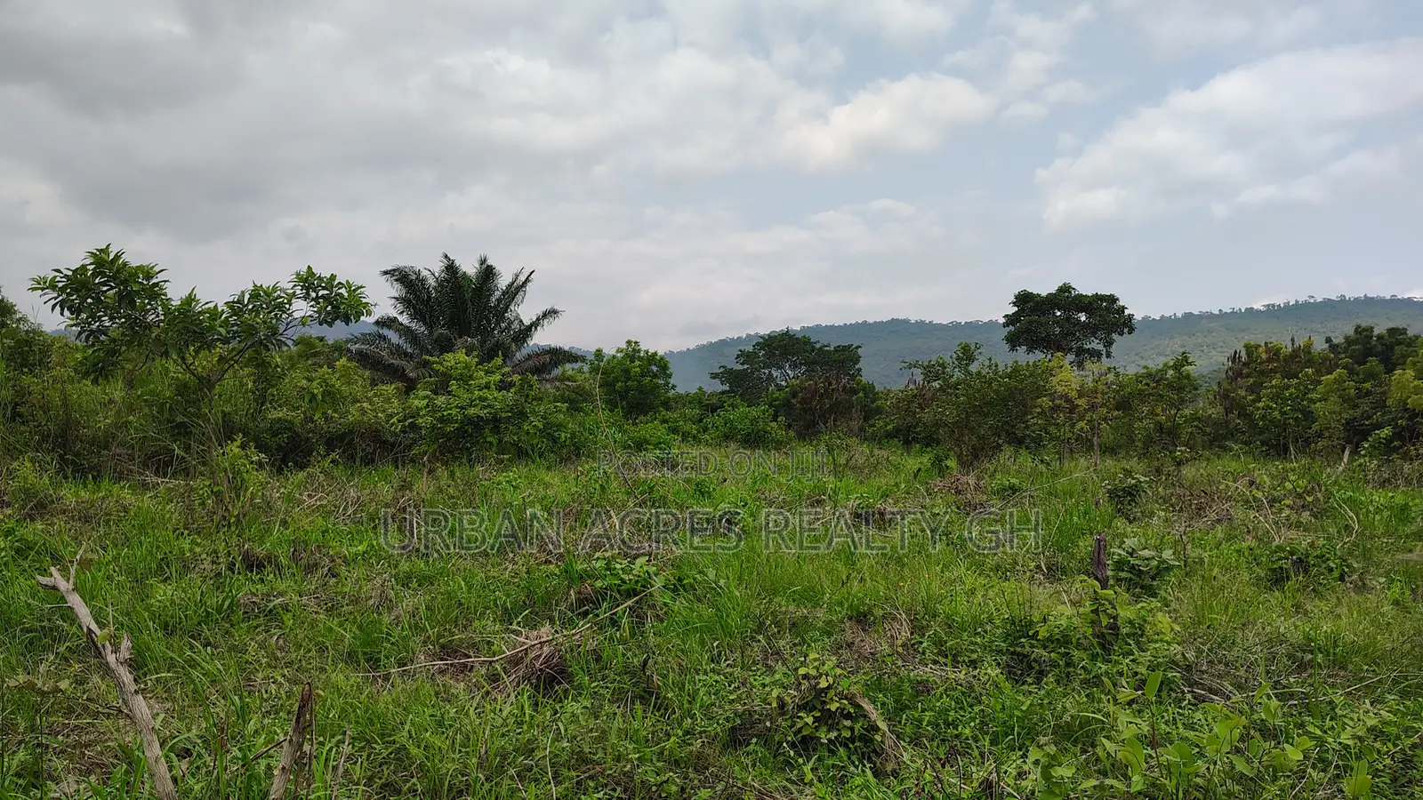 Volta Region, Peki (Adzokoe) _ 6 Acres Farmland With Stream