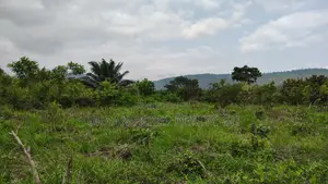 Volta Region, Peki (Adzokoe) _ 6 Acres Farmland With Stream