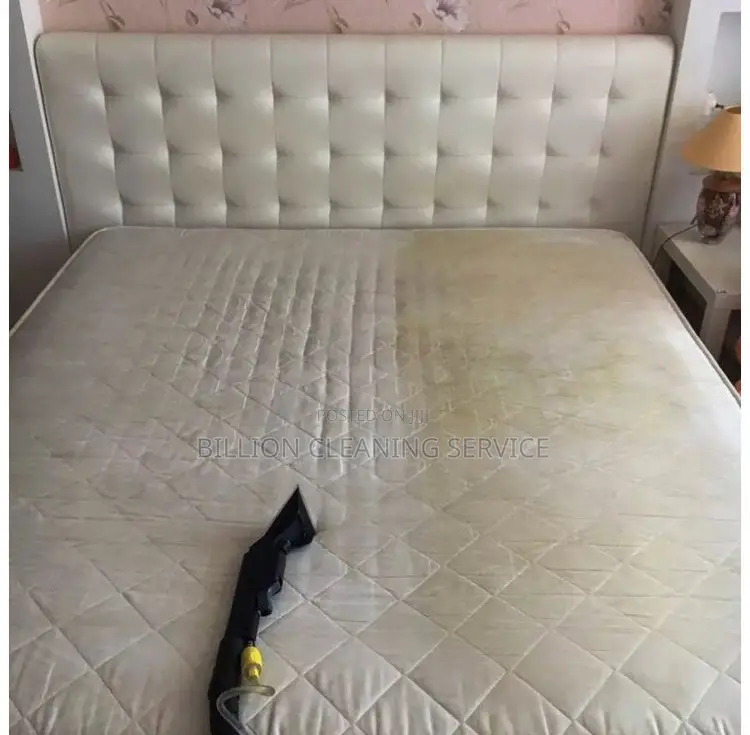 Sofa Cleaning Expert