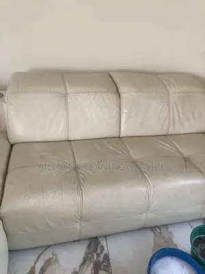 Sofa Cleaning Expert