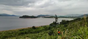 Volta Region, (DAYI DISTRICT) _ 1 Acre Riverfront Land