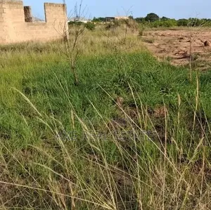 Major Deals on Registered Plots at Prampram Beach Lane