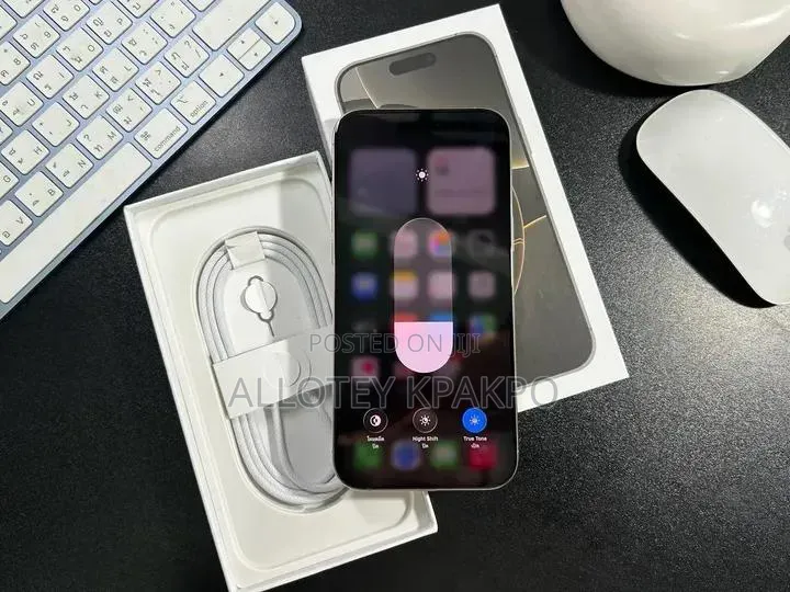 Apple iPhone 15 Pro Max 256 GB Silver