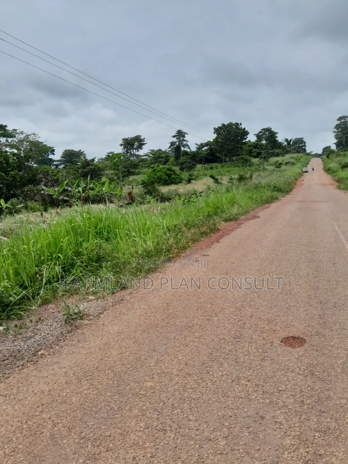 Farmland for Sale
