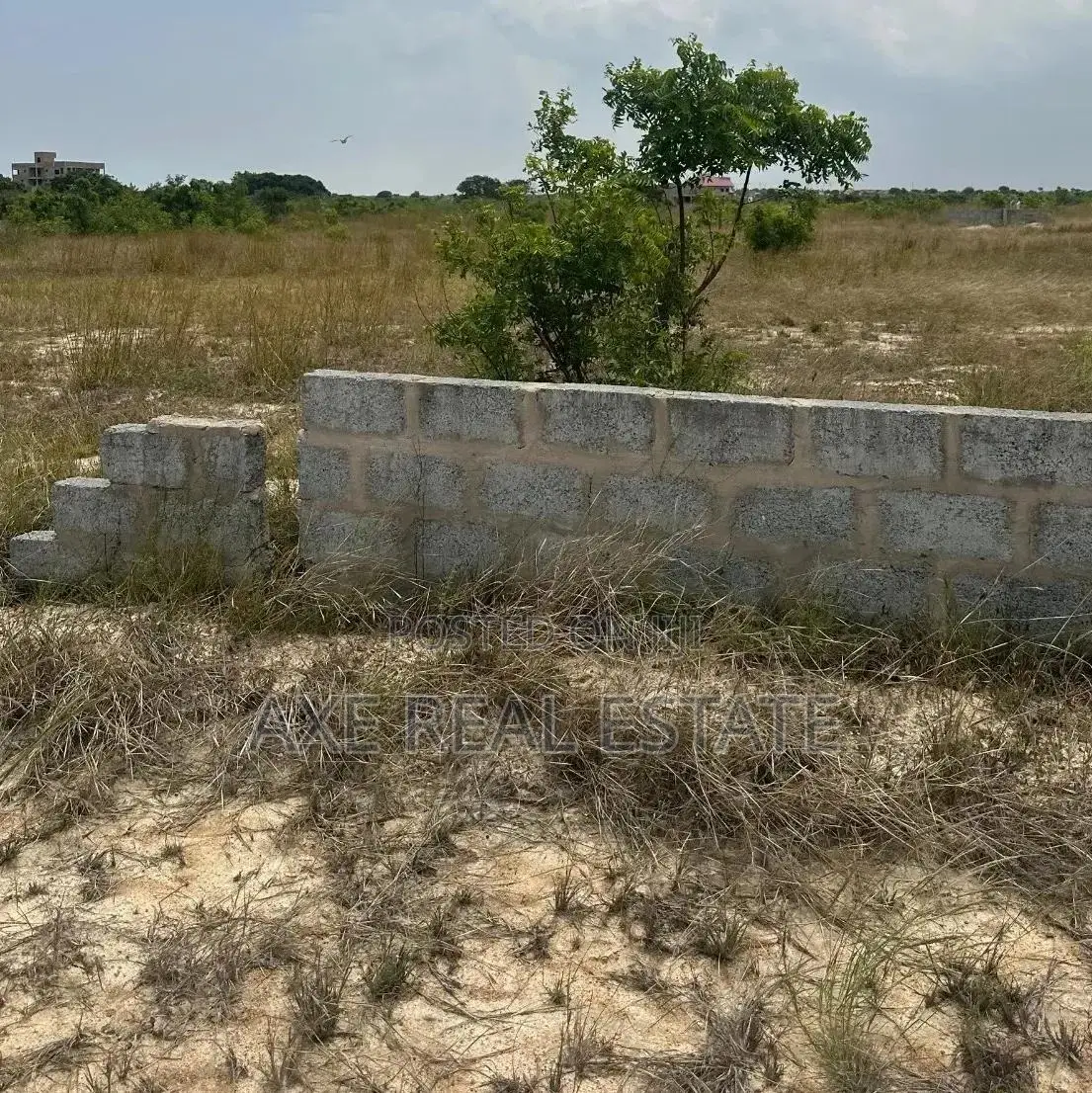 Fast Growing Lands at Prampram