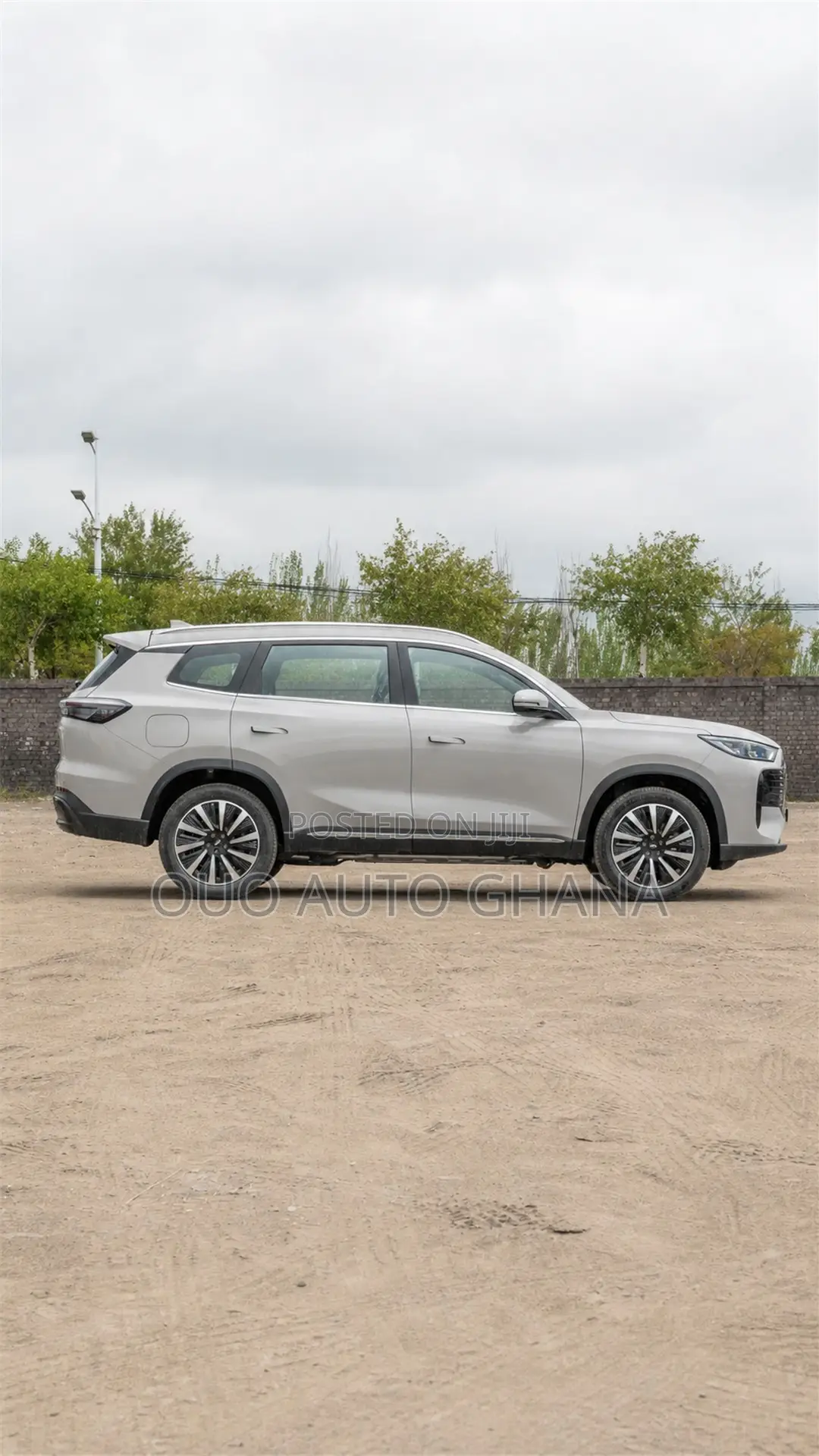 Chery Fulwin 2 2019 Gray