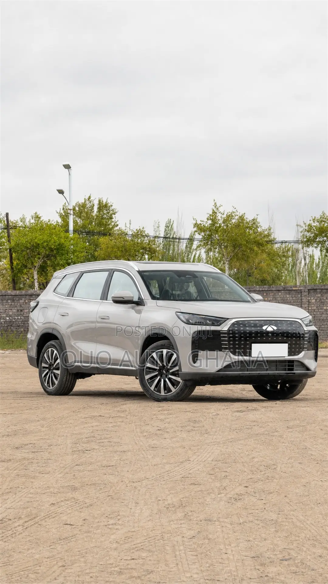 Chery Fulwin 2 2019 Gray