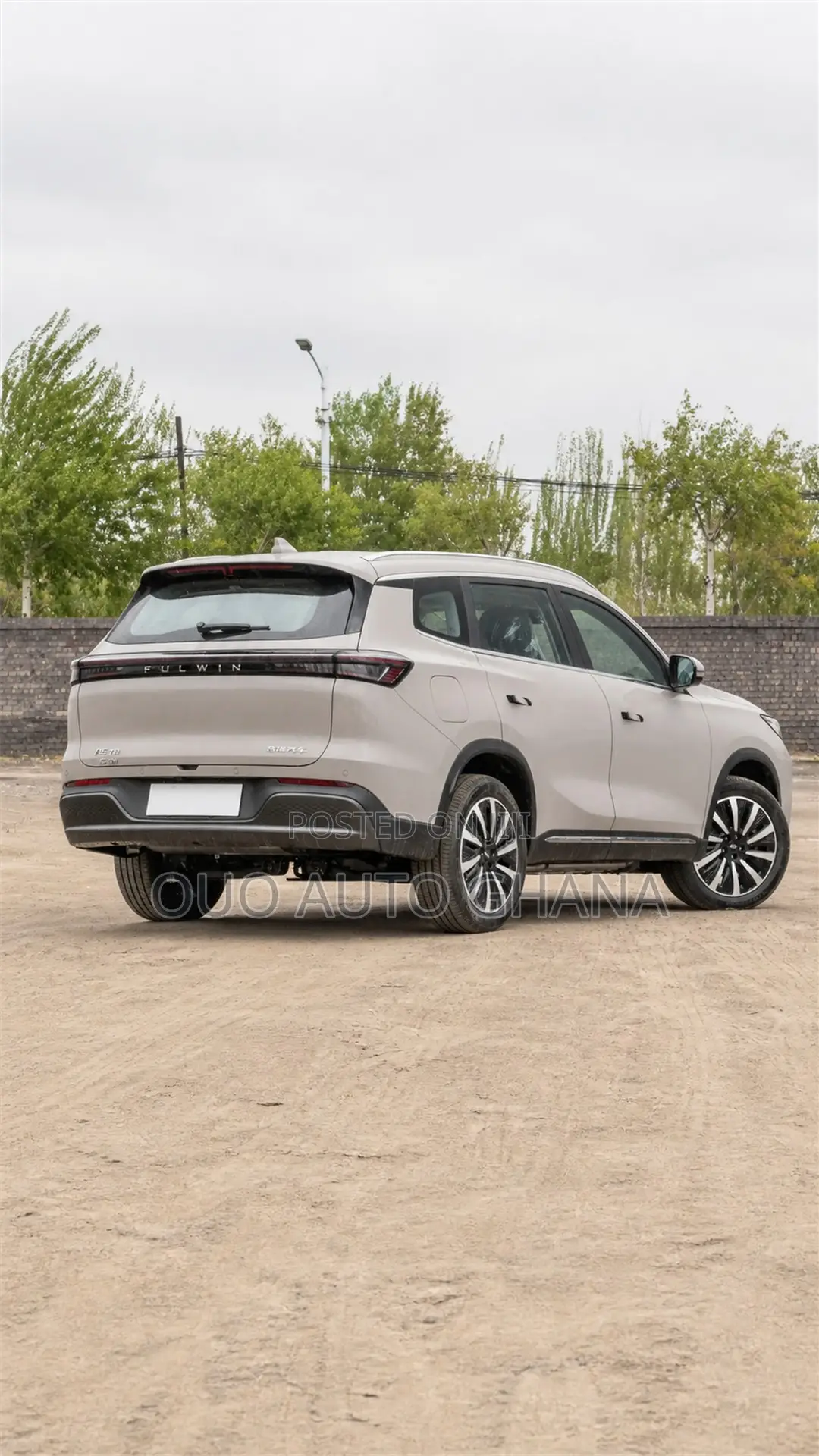 Chery Fulwin 2 2019 Gray