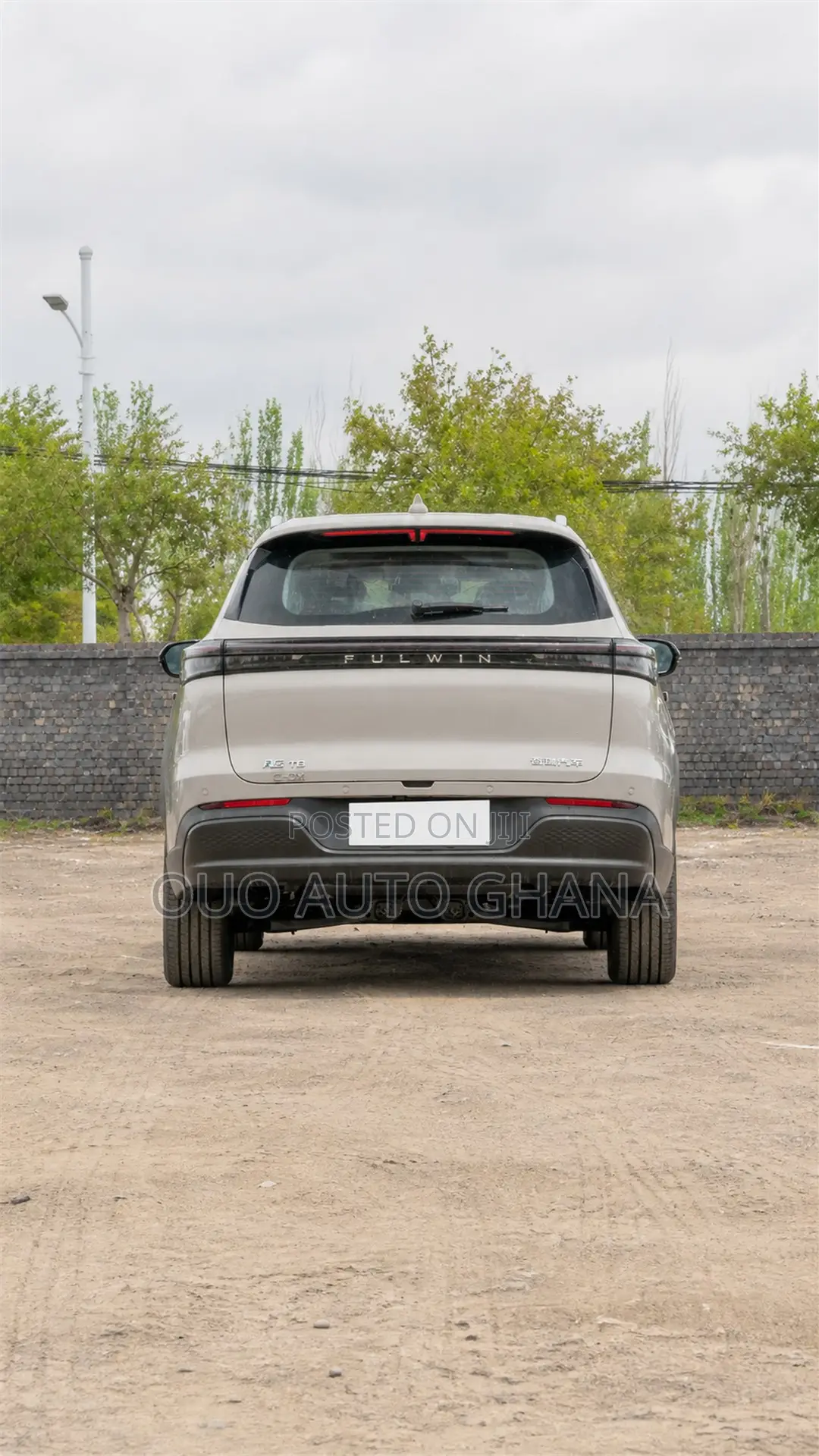 Chery Fulwin 2 2019 Gray