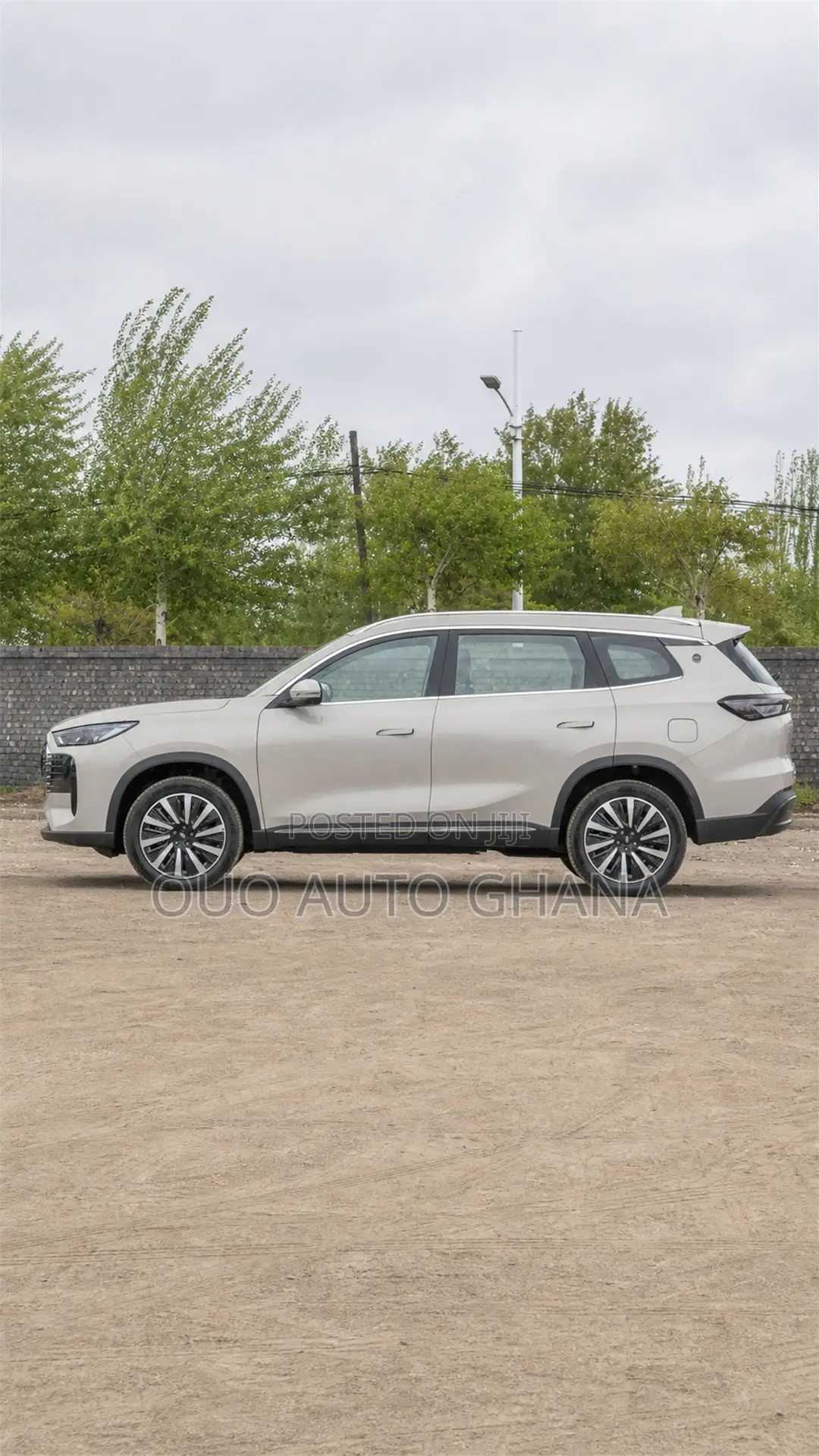 Chery Fulwin 2 2019 Gray