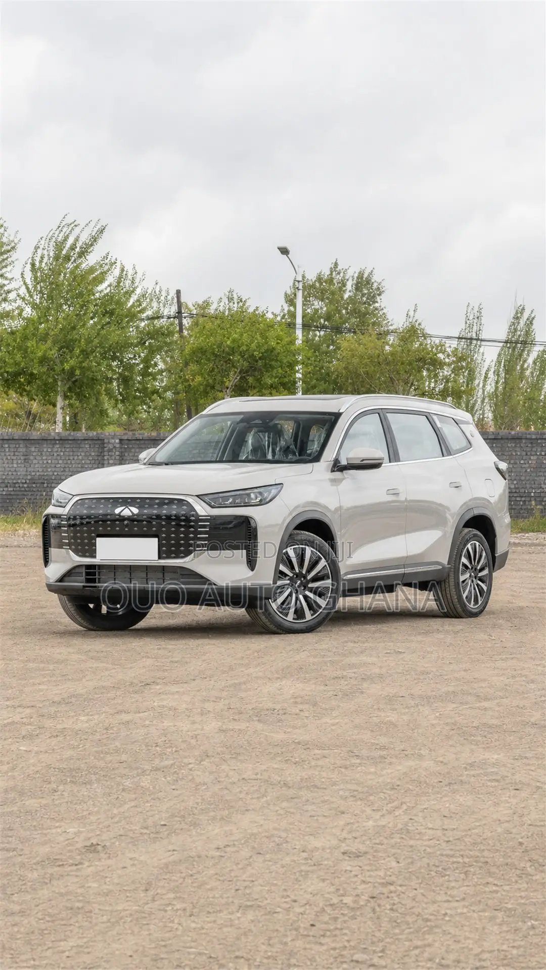 Chery Fulwin 2 2019 Gray