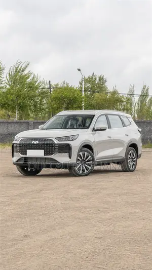 Chery Fulwin 2 2019 Gray