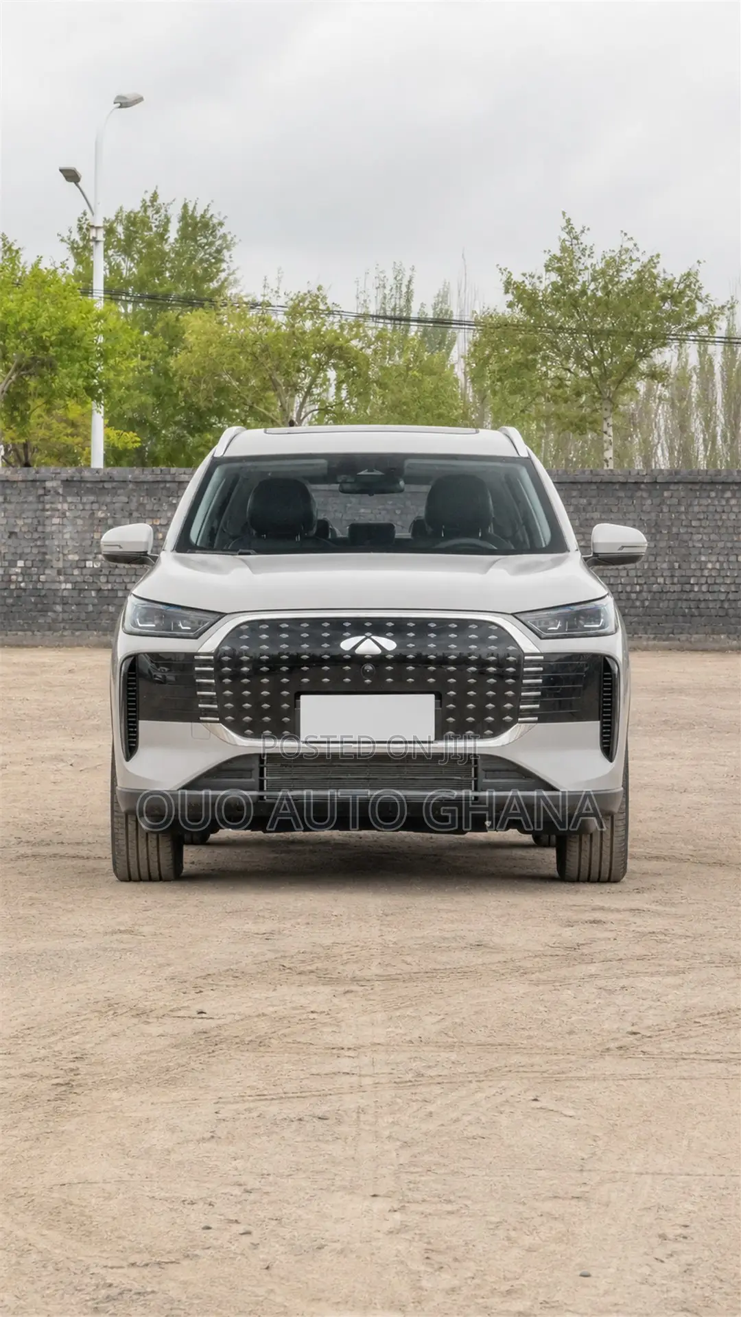 Chery Fulwin 2 2019 Gray