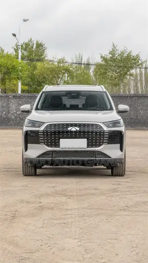 Chery Fulwin 2 2019 Gray