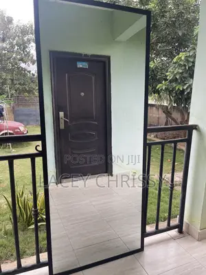 Full Body Mirror