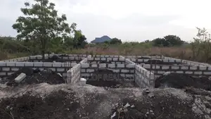 Building Construction