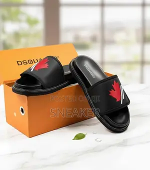 Dsquared2 Slides