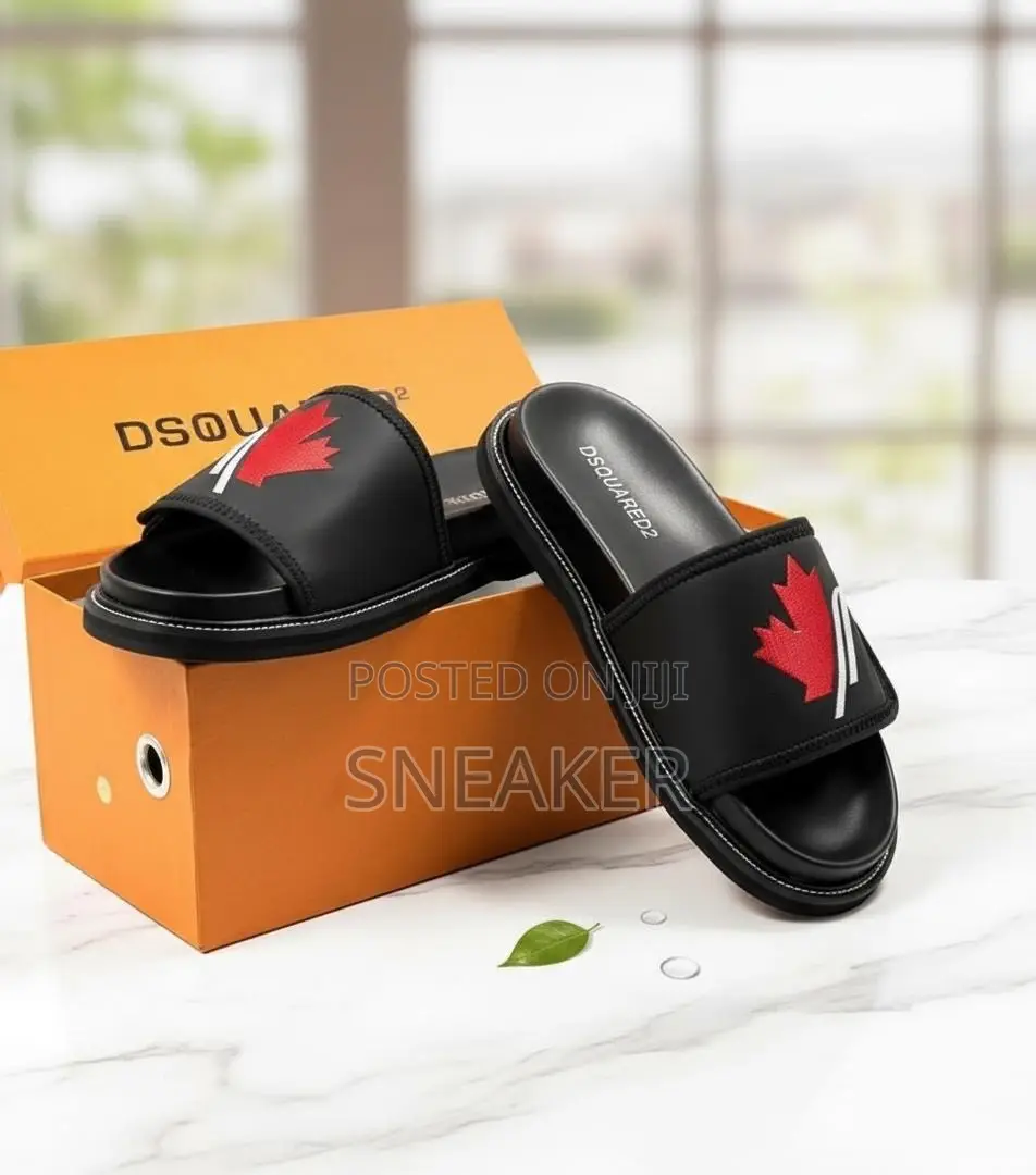 Dsquared2 Slides