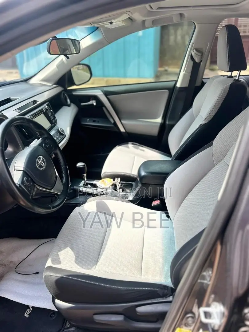 Toyota RAV4 XLE 4dr SUV AWD (2.5L 4cyl 6A) 2018 Gray