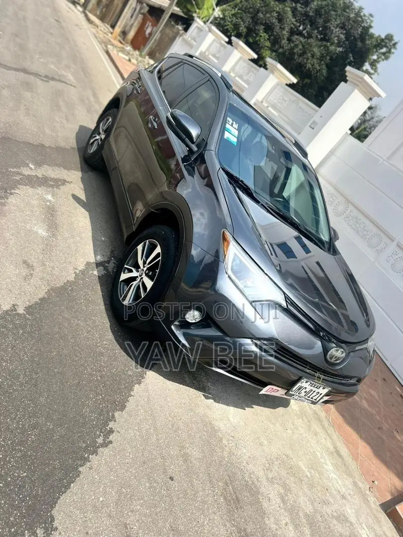 Toyota RAV4 XLE 4dr SUV AWD (2.5L 4cyl 6A) 2018 Gray