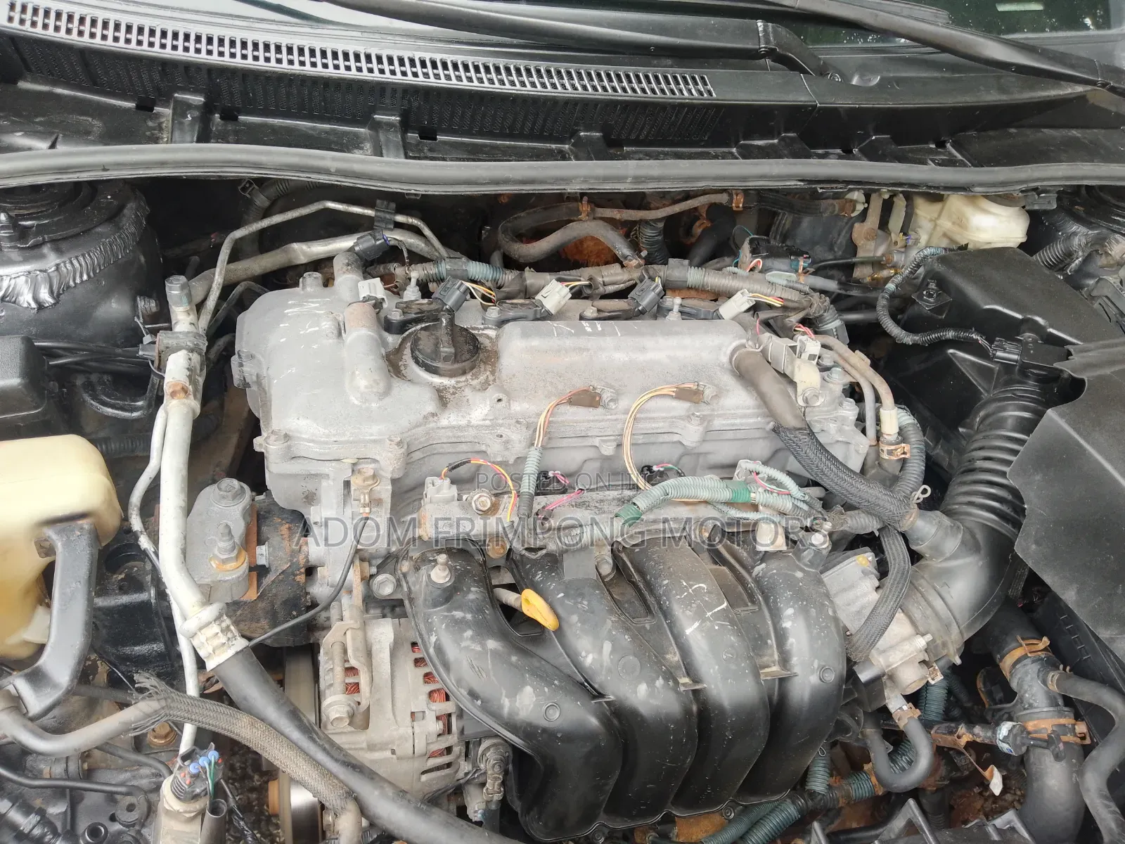 Toyota Corolla 2010 Gray