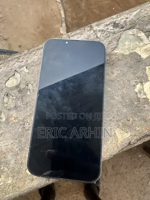 Apple iPhone 13 Pro Max 256 GB Gray