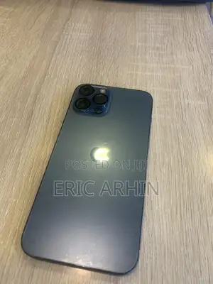 Apple iPhone 13 Pro Max 256 GB Gray