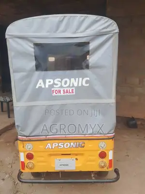 Apsonic AP150ZK 2024 Yellow