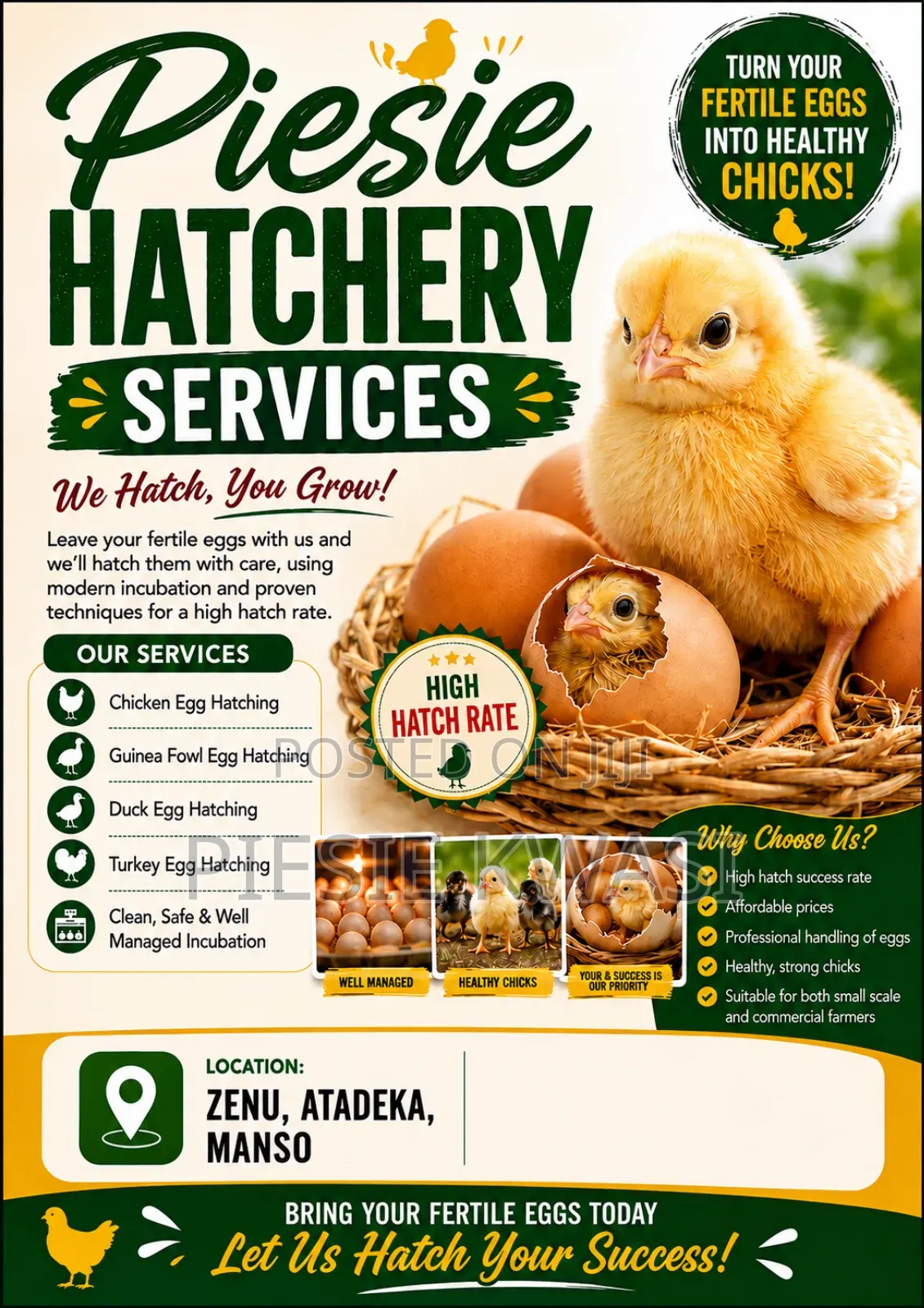 Professional Fertile Egg Hatching Services – Piesie Hatchery