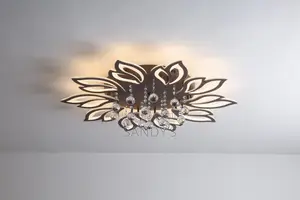 Luxury Ceiling Light