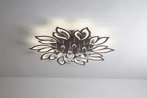 Luxury Ceiling Light