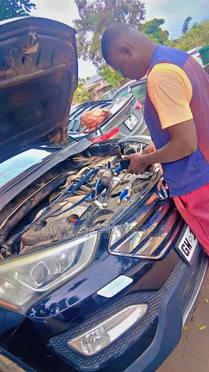 Professional Auto Electrical Services