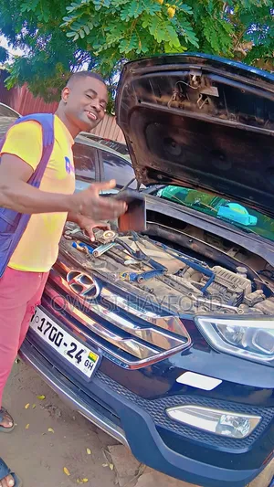 Professional Auto Electrical Services